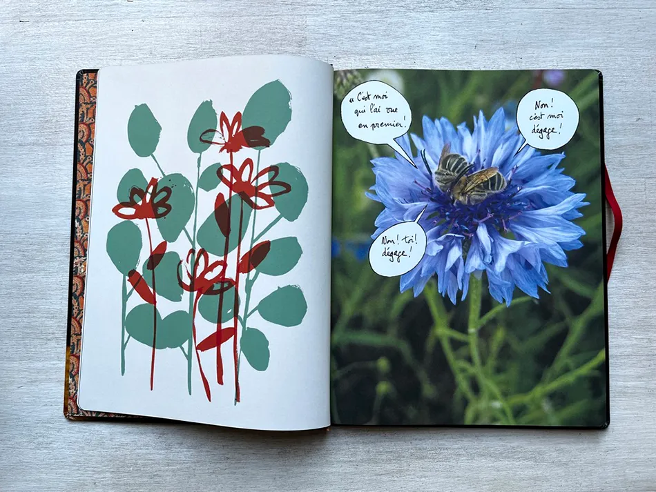 Inside pages of Carnet de voyage auprès de mon arbre by Thierry Dedieu