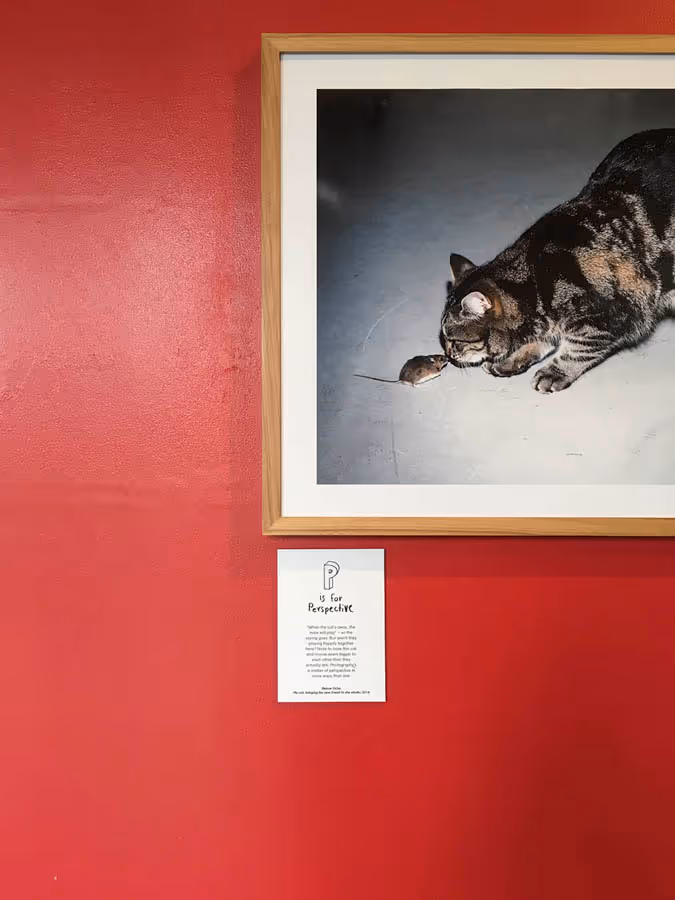 Events by Kids Love Photography